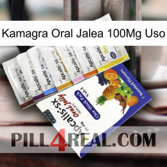 Kamagra Oral Jelly 100Mg Use 11